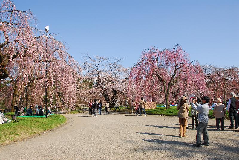 DSC_4744.JPG