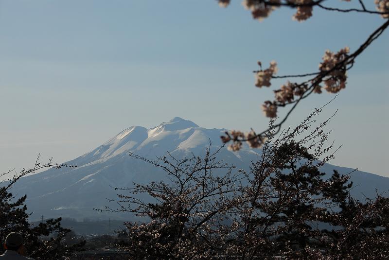 DSC_4793.JPG