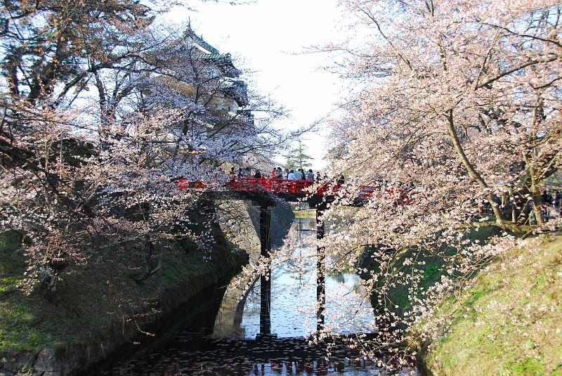 DSC_4819.JPG