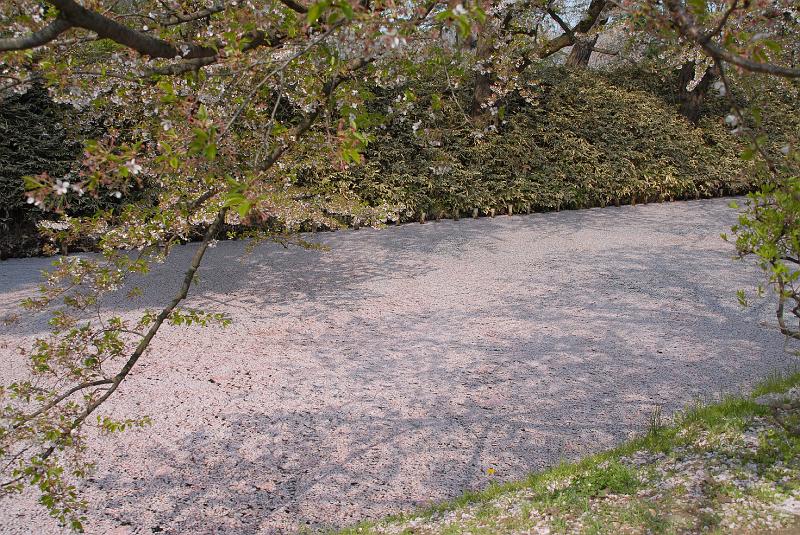 DSC_8885.JPG