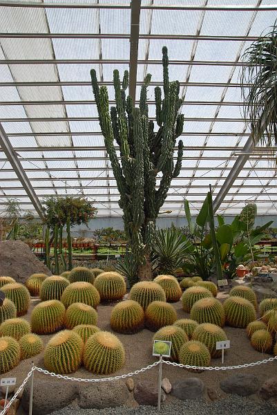 Img0048.jpg