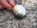 DSCF1761