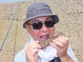 DSCF1764