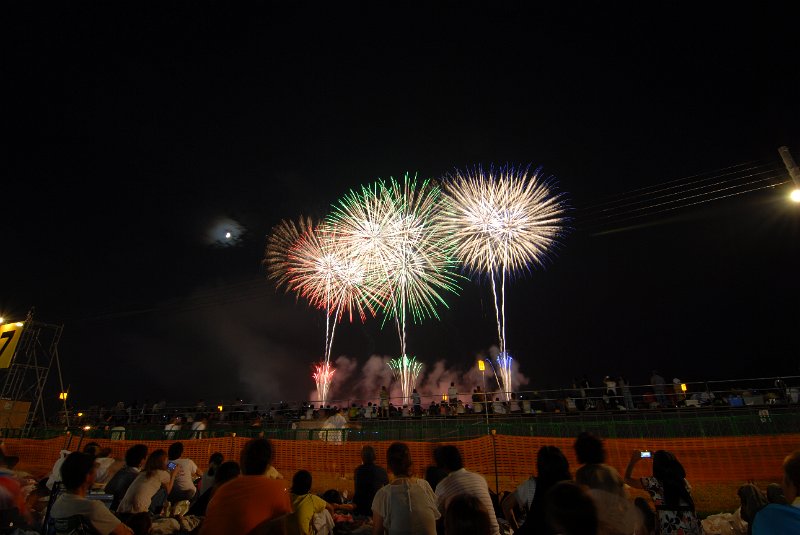 DSC_3310.JPG