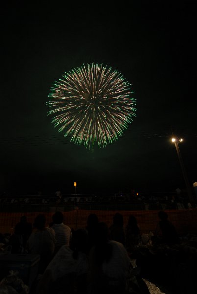 DSC_3335.JPG