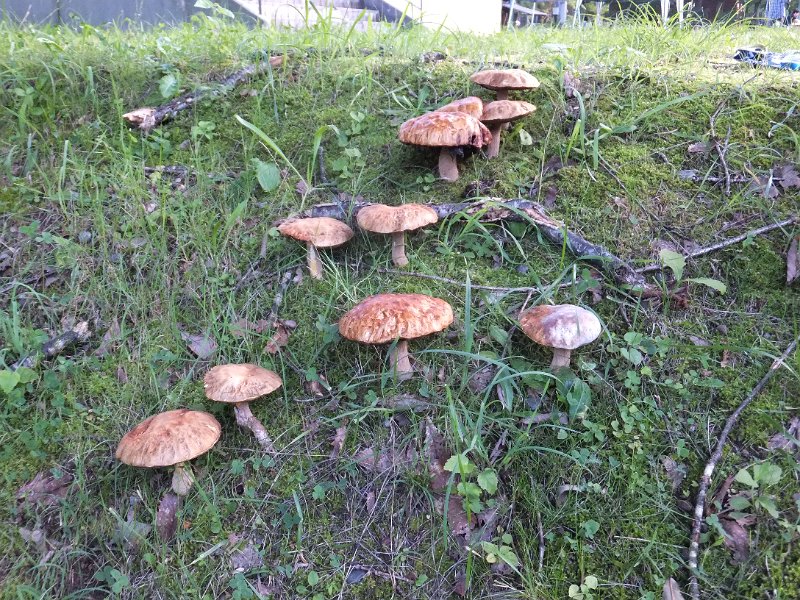 DSCF2655.JPG