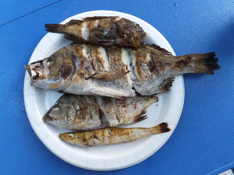 DSCF2656.JPG