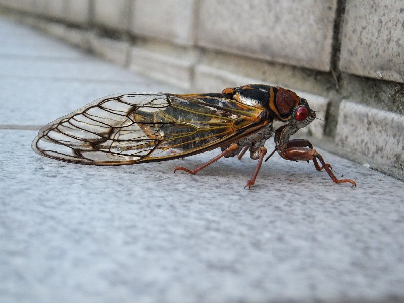 DSCF2673.JPG