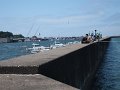 DSCF2622