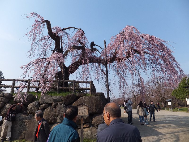 DSCF2259.JPG