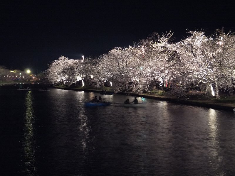 DSCF2309.JPG