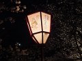 DSCF2314