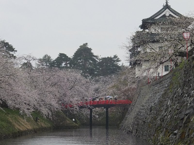 DSCF2336.JPG
