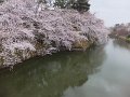 DSCF2326
