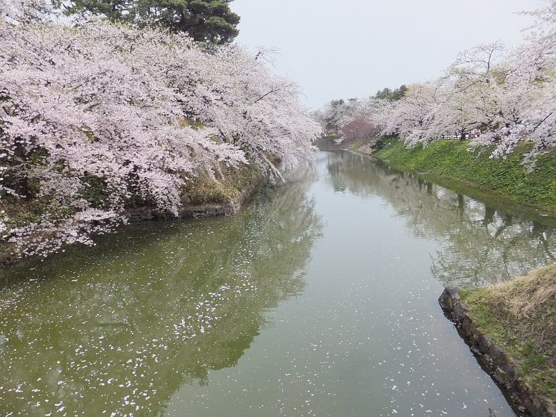 DSCF2344.JPG