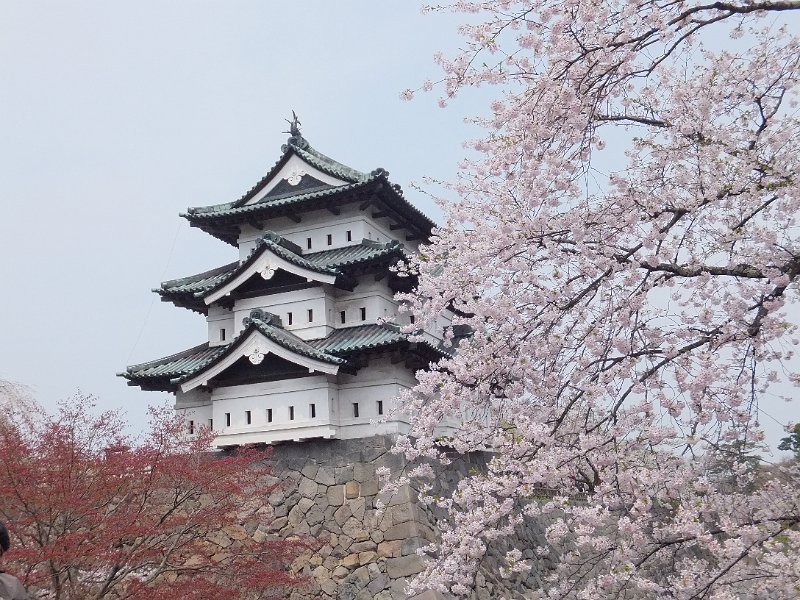 DSCF2345.JPG