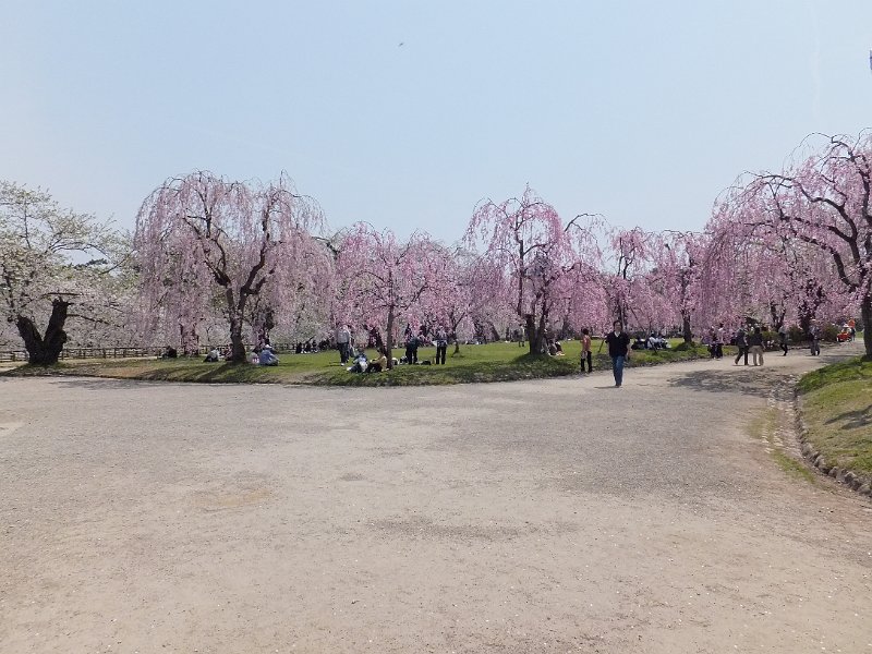 DSCF2358.JPG