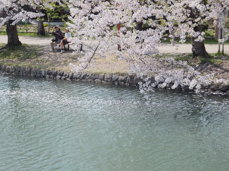 DSCF2362.JPG