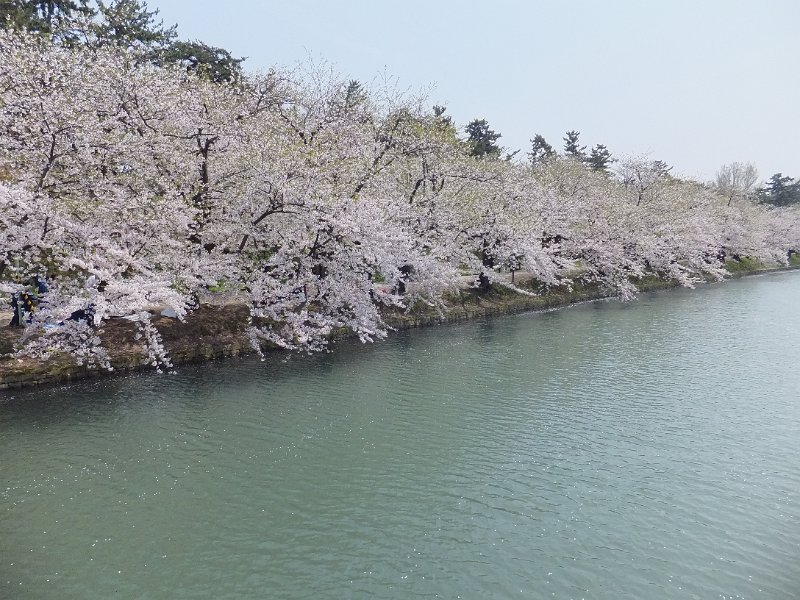 DSCF2367.JPG