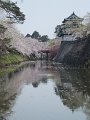 DSCF2361