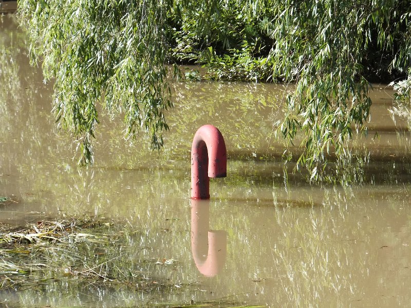 DSCF2813.JPG