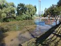 DSCF2792