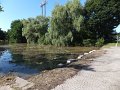 DSCF2797