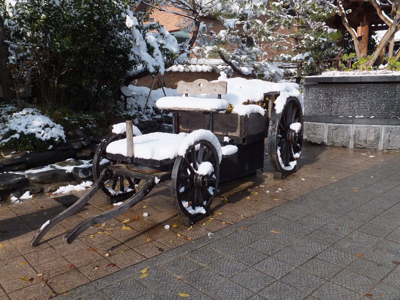 DSCF2953.JPG