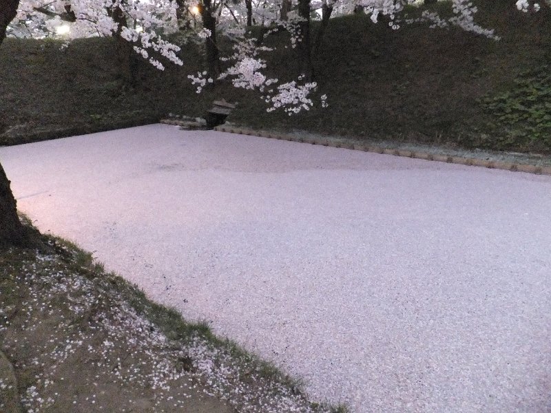 DSCF3305.JPG