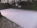 DSCF3305