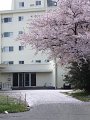 DSCF3329