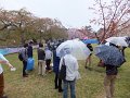 DSCF3342