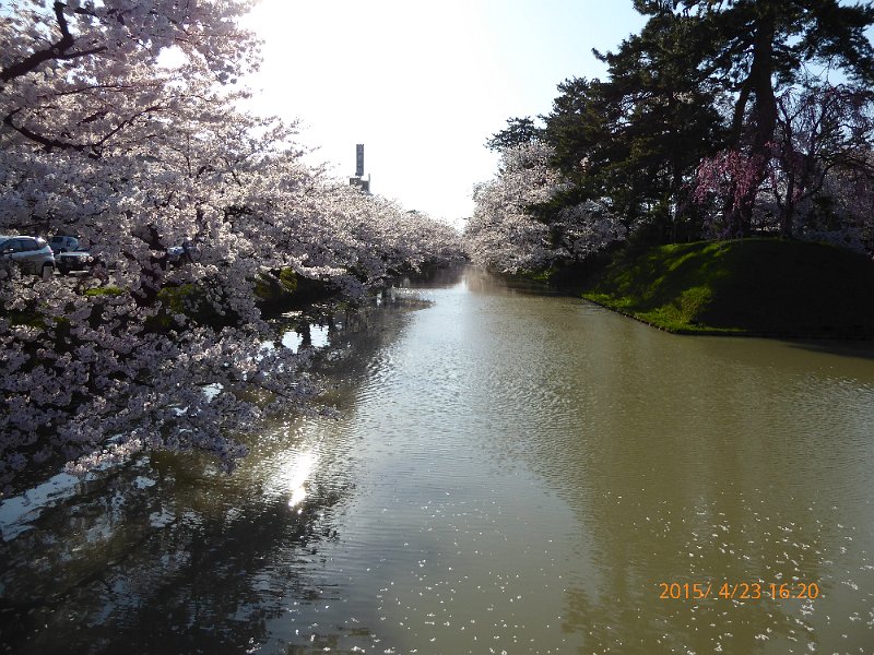 P1000201.JPG