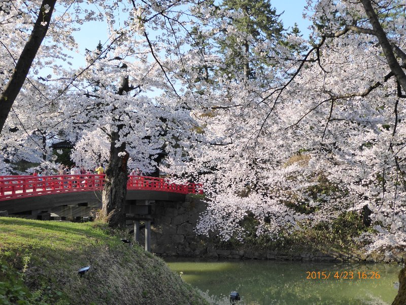 P1000207.JPG