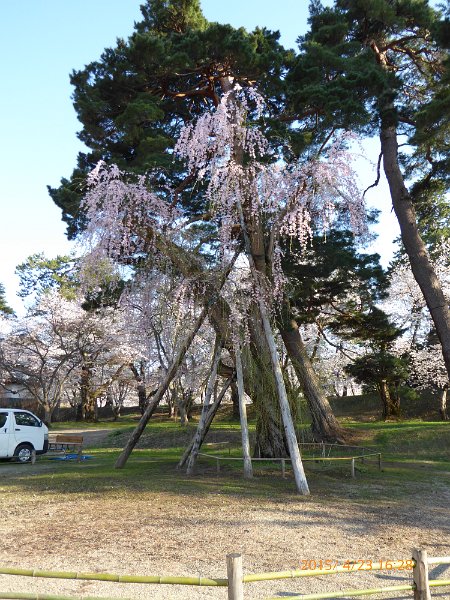 P1000209.JPG
