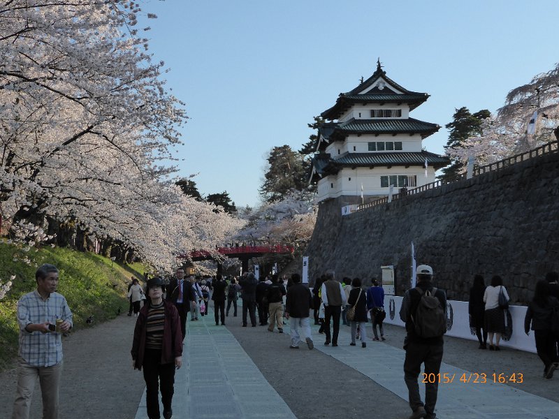 P1000230.JPG