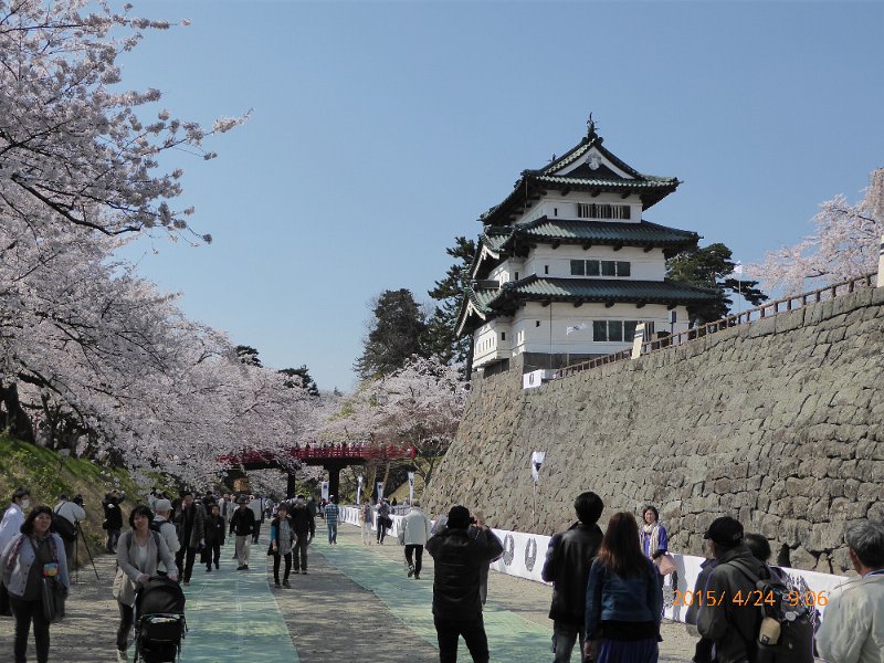 P1000262.JPG