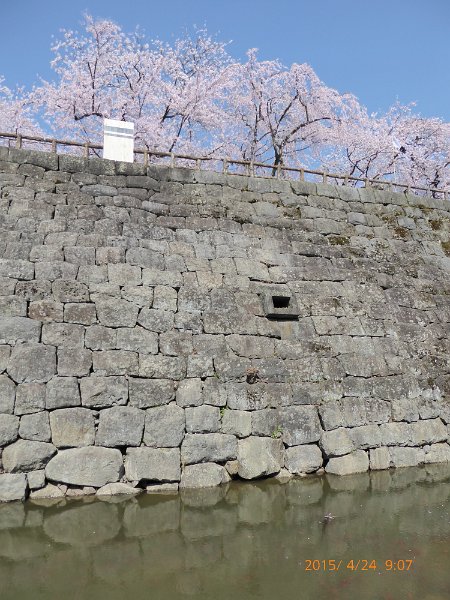 P1000264.JPG