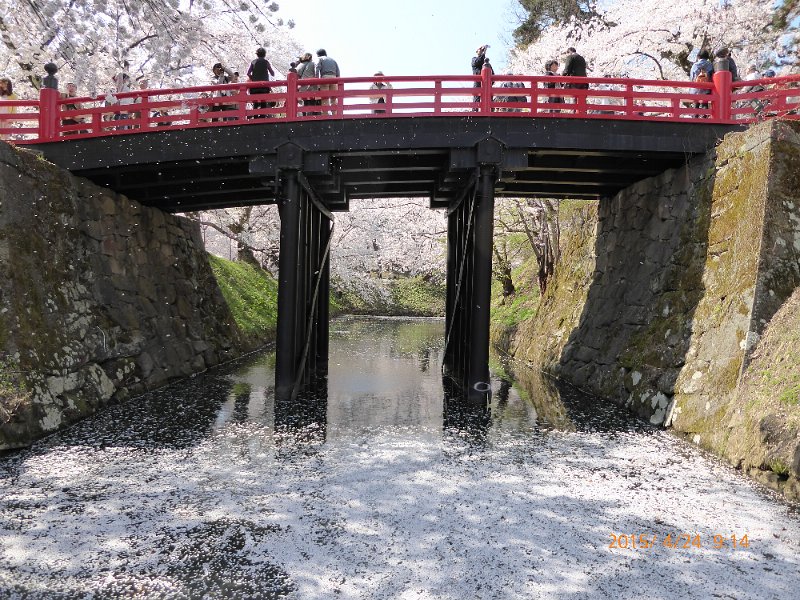 P1000276.JPG