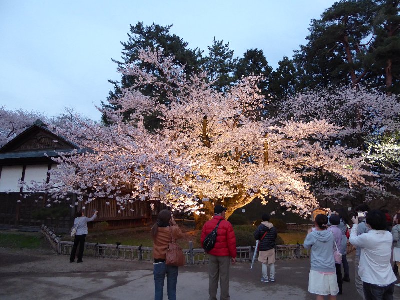 P1000314.JPG