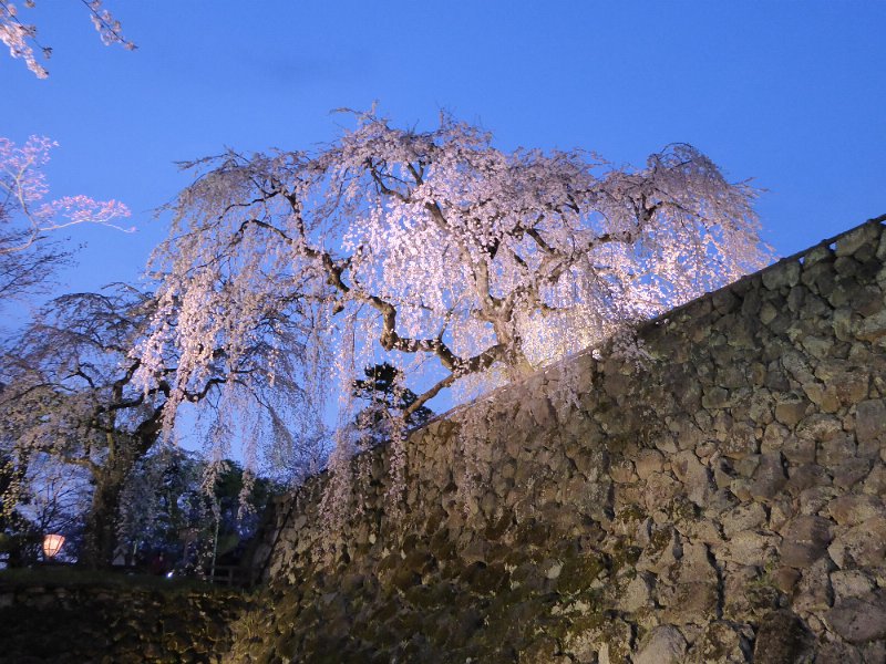 P1000325.JPG