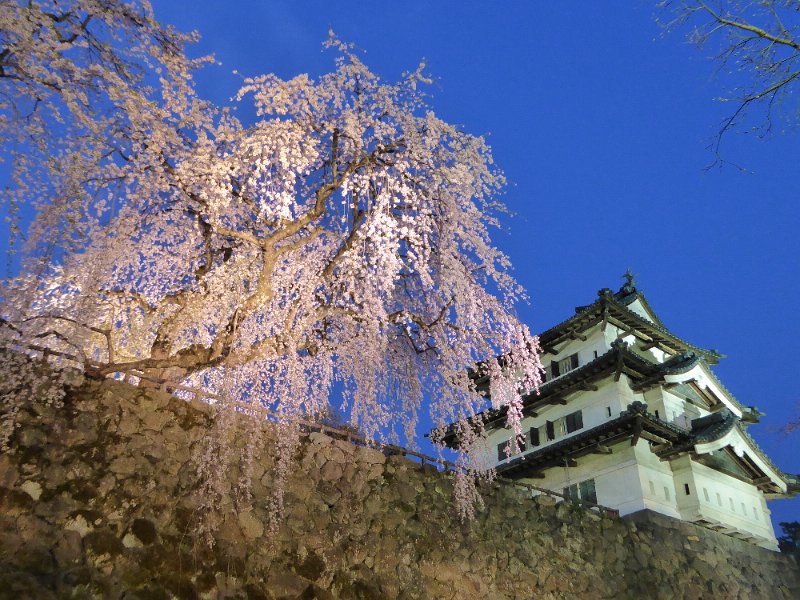 P1000328.JPG