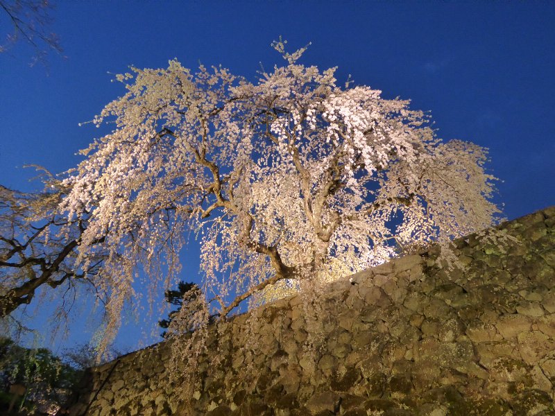 P1000333.JPG
