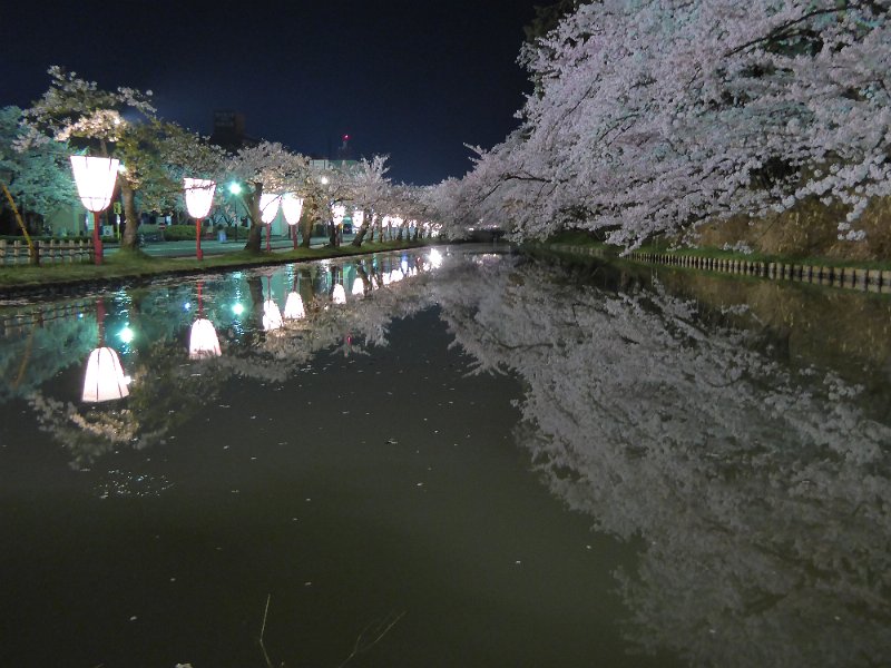 P1000356.JPG