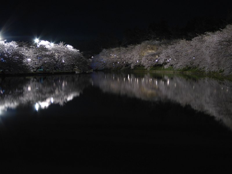 P1000379.JPG