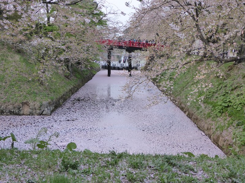 P1000381.JPG