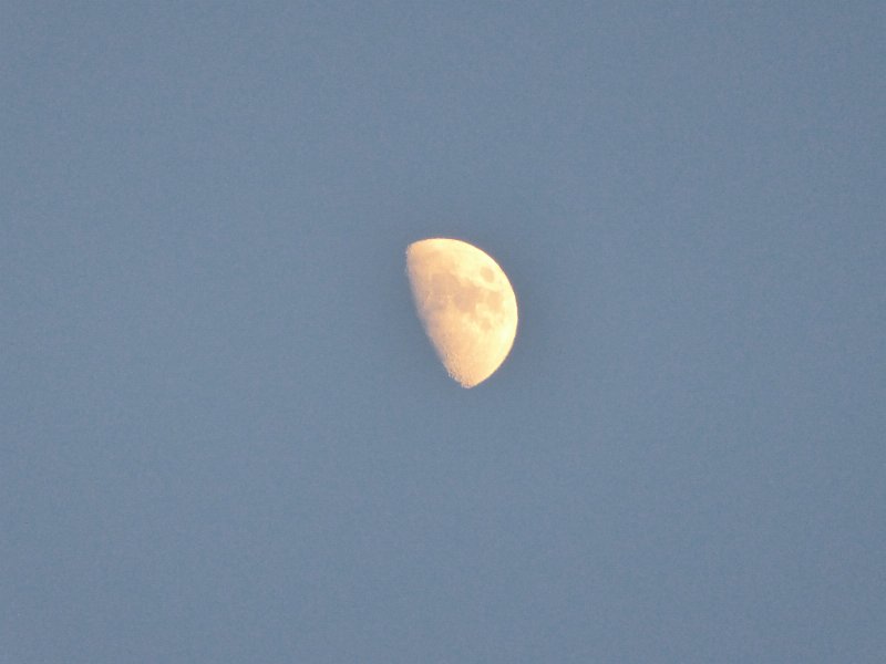 P1000383.JPG
