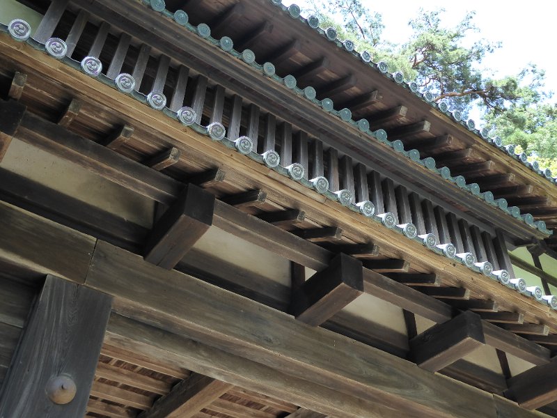 P1000486.JPG