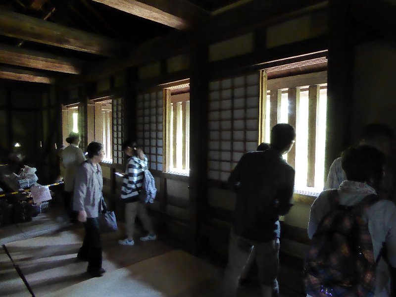 P1000493.JPG