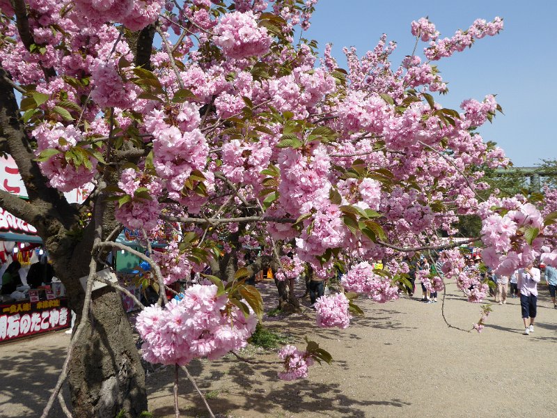 P1000502.JPG